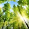 Role of an Environment Consultant and the need for environmental clearance for Industries